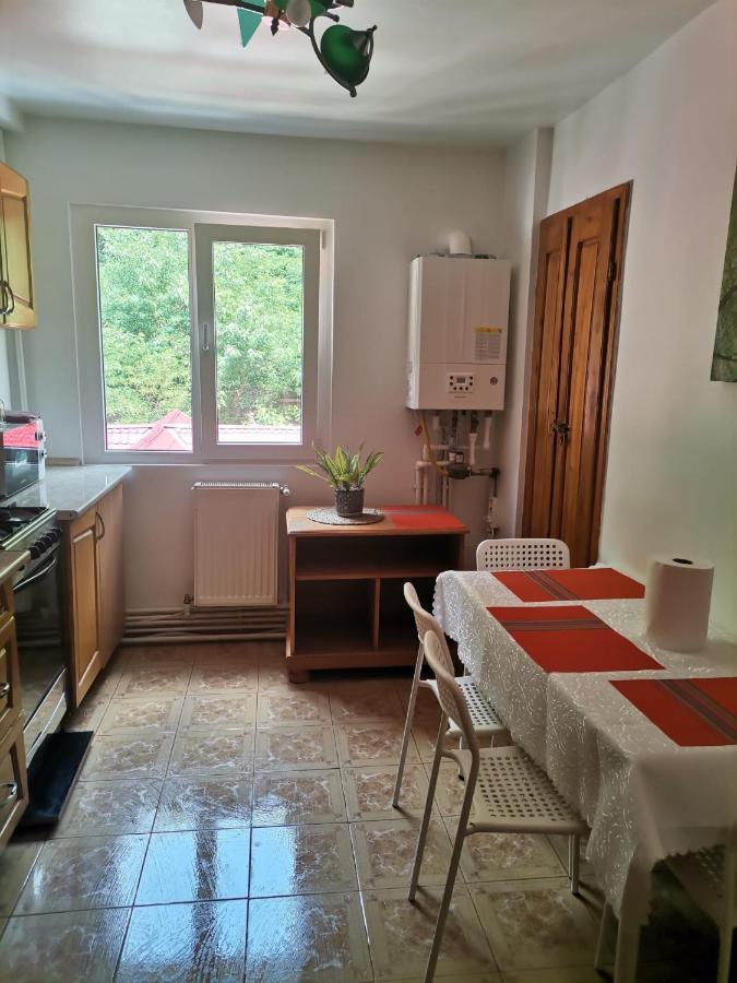 Montana Slanic Apartment ภายนอก รูปภาพ